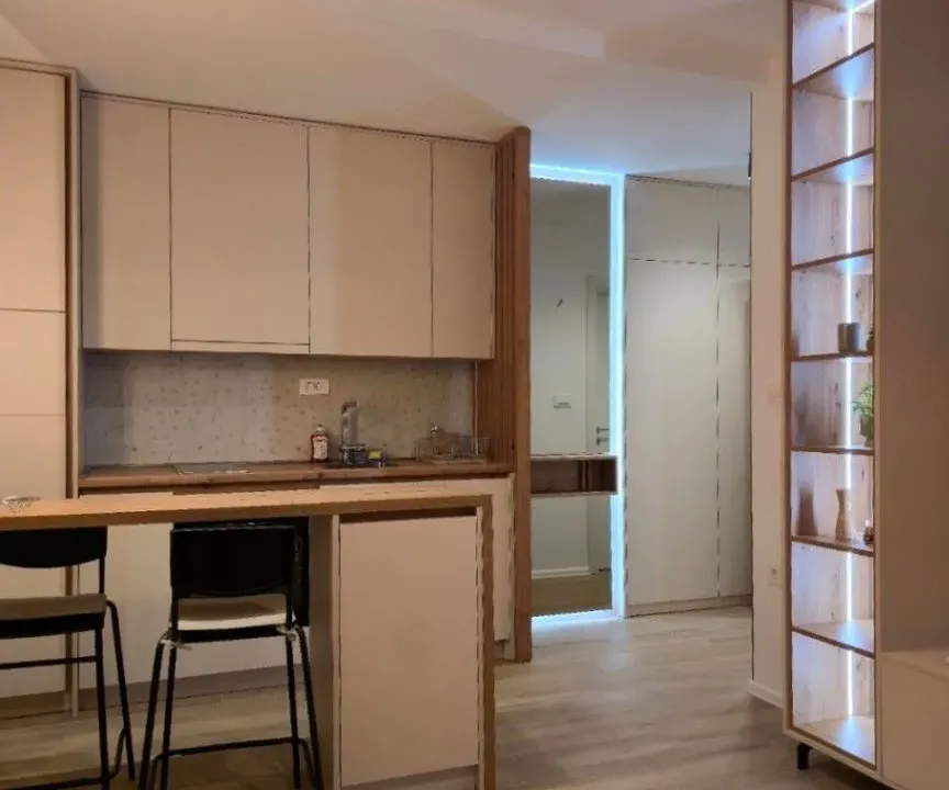 Izdavanje, garsonjera, 23m², Preko Morače, Podgorica