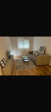 Izdavanje, jednosoban stan, 43m², Central Point, Podgorica - image 16