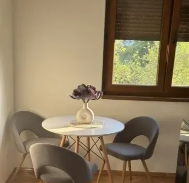 Izdavanje, jednosoban stan, 29m², Podgorica, Crna Gora - image 4