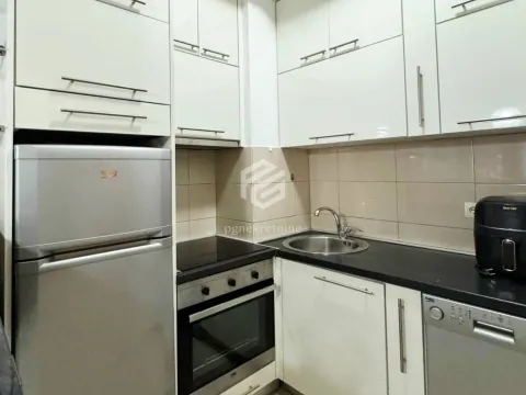 Rent, one bedroom apartment, 42m², Ljubović, Podgorica - image 3