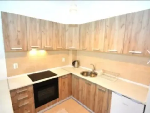 Izdavanje, jednosoban stan, 53m², Ulcinjsko Polje, Ulcinj - image 4