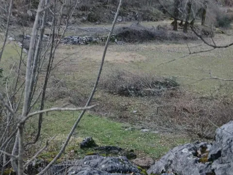 Prodaja, plac, 30604m², Cetinje, Crna Gora - image 5