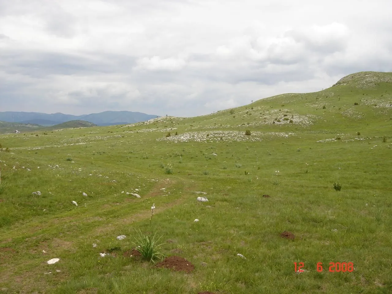 Prodaja, plac, 450000m², Centar, Žabljak