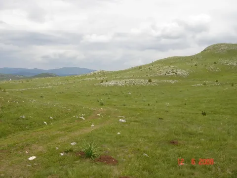 Prodaja, plac, 450000m², Centar, Žabljak - image 11