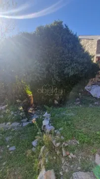 Pogled na dvorište i zelenilo ispred kuće. - image 11