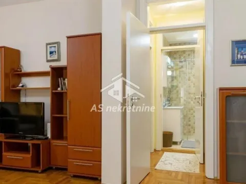 Rent, two bedroom apartment, 52m², Savski Venac, Beograd - image 9