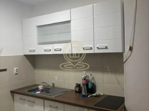 Sale, one bedroom apartment, 42m², Pantelej, Niš - image 4