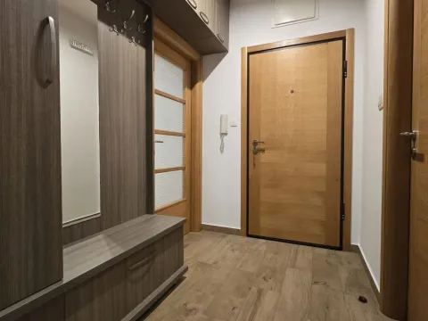 Rent, one bedroom apartment, 46m², Nova Dalmatinska, Podgorica - image 17