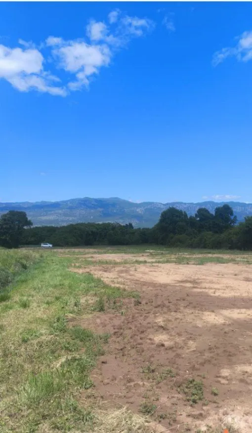 Prodaja, plac, 13300m², Kosić, Danilovgrad