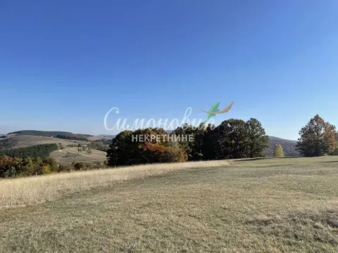 Sale, land lot, 10000m², Divčibare, Valjevo - image 5