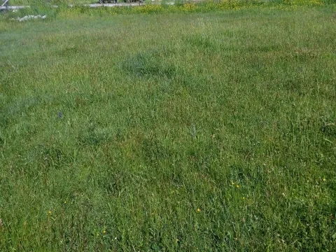 Prodaja, plac, 310m², Centar, Cetinje - image 4