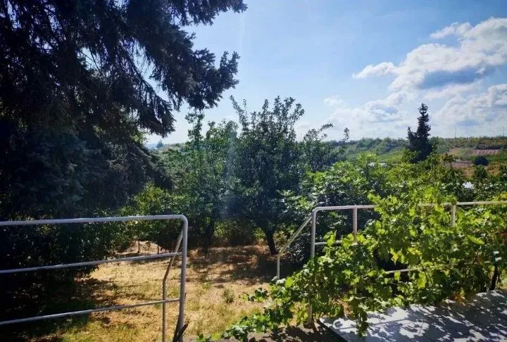 Pogled sa terase na zeleno dvorište i okolnu prirodu.