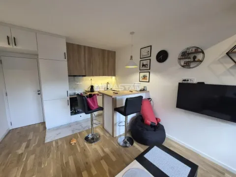 Izdavanje, dvosoban stan, 42m², Stari Grad, Beograd - image 2