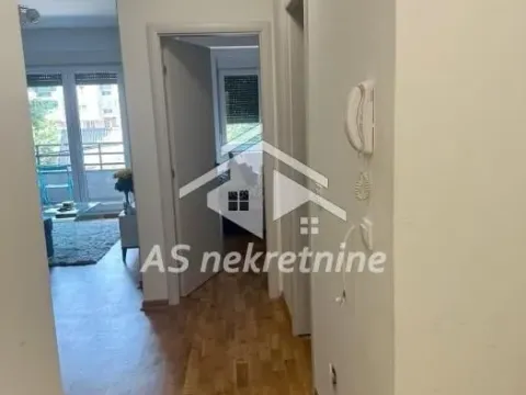 Izdavanje, dvosoban stan, 54m², Južni Bulevar, Vračar Sve Podlokacije - image 10