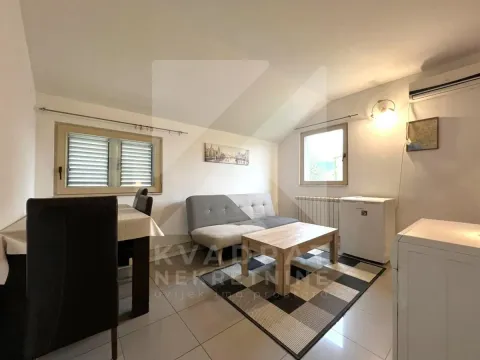Rent, one bedroom apartment, 32m², Zagorič, Podgorica - image 3