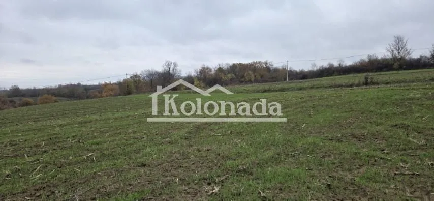 Prodaja, plac, 6000m², Sopot, Beograd