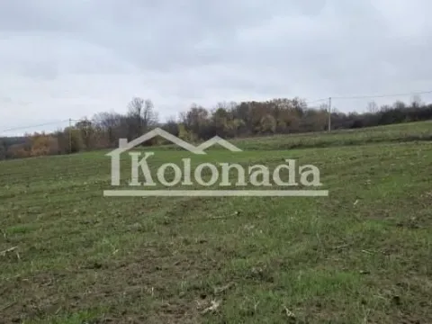 Prodaja, plac, 6000m², Sopot, Beograd - image 2