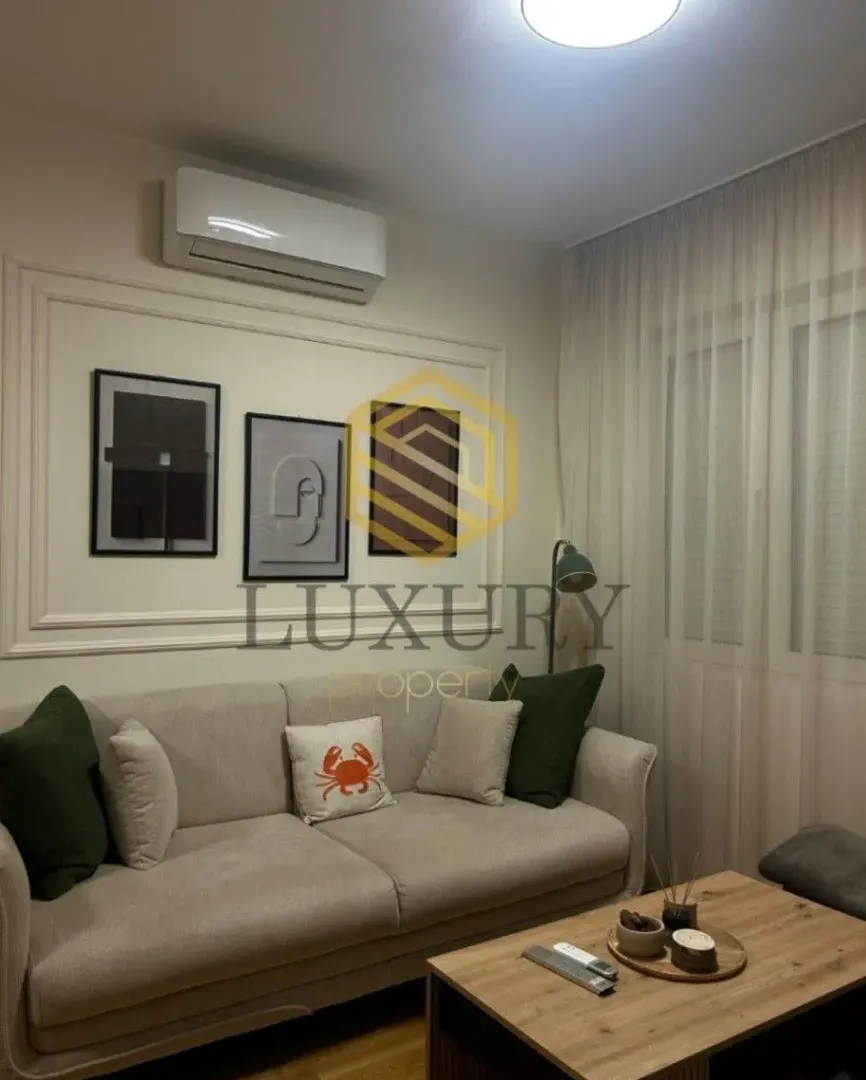 Rent, one bedroom apartment, 41m², Velji Vinogradi, Budva