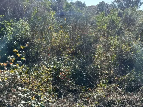 Sale, land lot, 100076m², Kunje, Bar - image 8