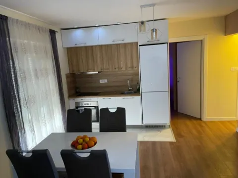 Izdavanje, jednosoban stan, 60m², Stari Aerodrom, Podgorica - image 5