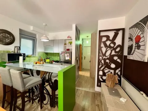 Sale, one bedroom apartment, 50m², Petrovac, Budva - image 4