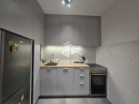 Izdavanje, kuća, 124m², Slavija, Vračar Sve Podlokacije - image 6