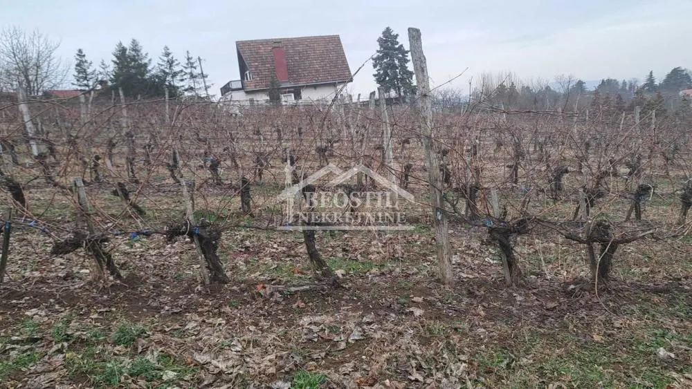 Prodaja, plac, 2000m², Brestovik, Grocka