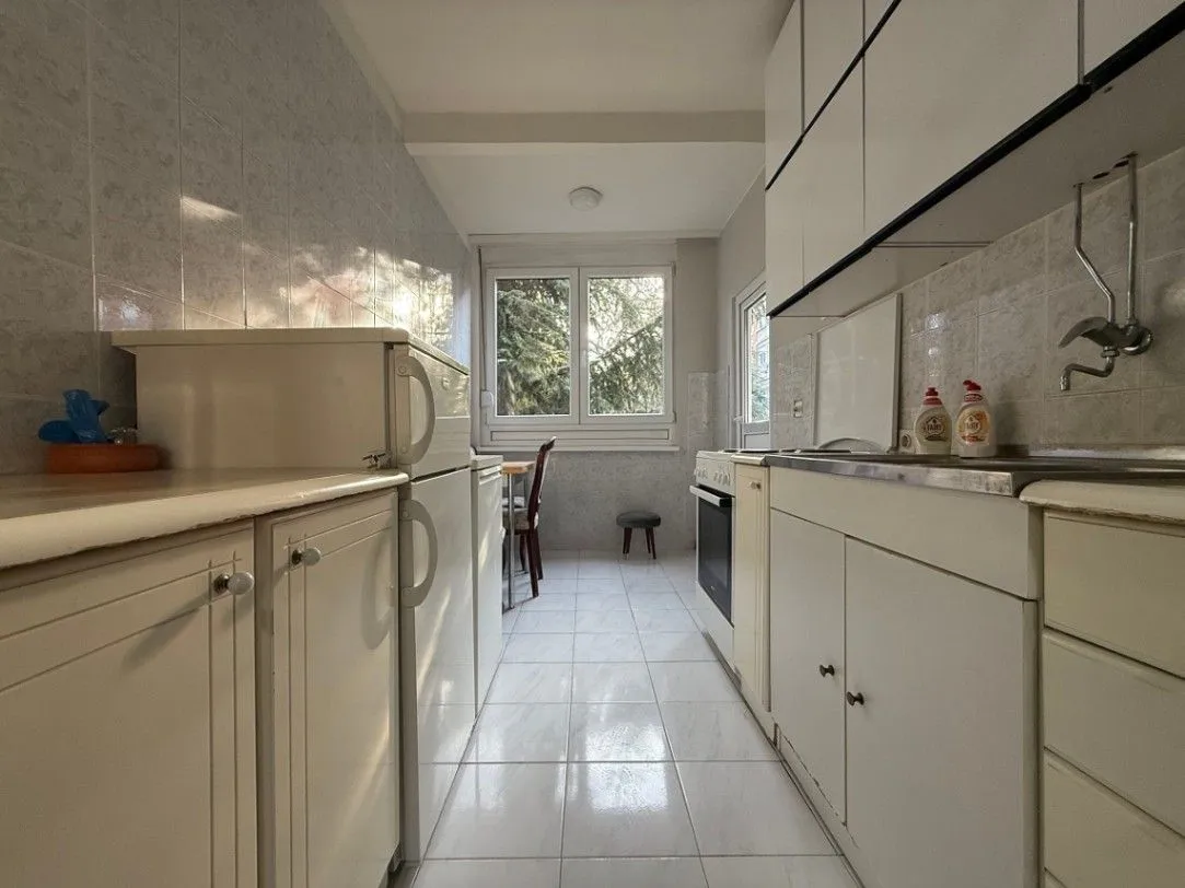 Rent, two bedroom apartment, 55m², Lion, Zvezdara Sve Podlokacije