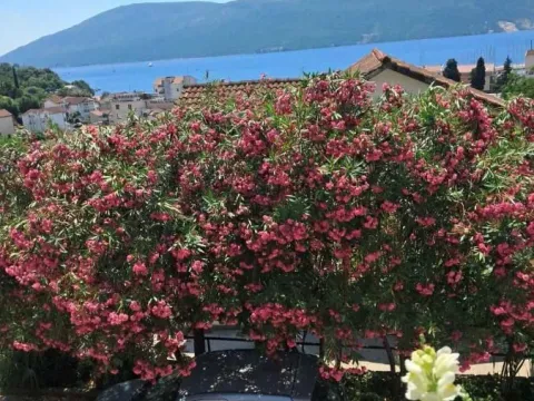 Sale, house, 144m², Meljine, Herceg Novi - image 2