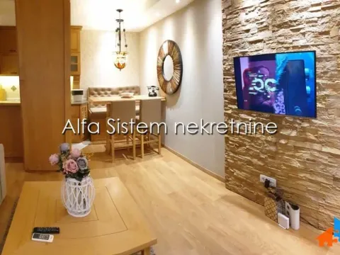 Izdavanje, dvosoban stan, 55m², Vračar Hram, Vračar Sve Podlokacije - image 6