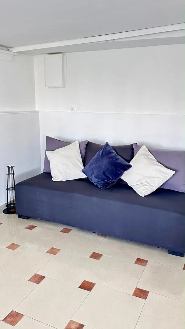 A dark sofa with decorative pillows in a bright room.