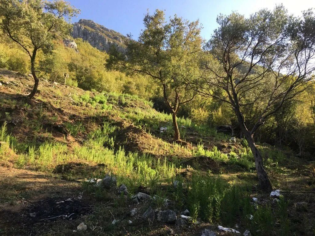 Prodaja, plac, 1000m², Bar, Crna Gora