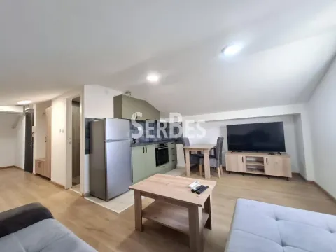 Izdavanje, jednosoban stan, 40m², Adice, Novi Sad Sve Podlokacije - image 4