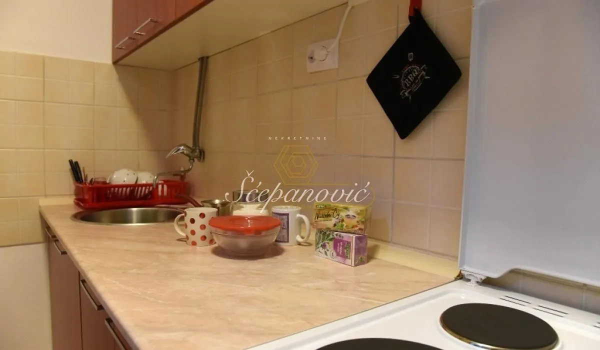 Izdavanje, dvosoban stan, 49m², Betanija, Novi Sad Sve Podlokacije