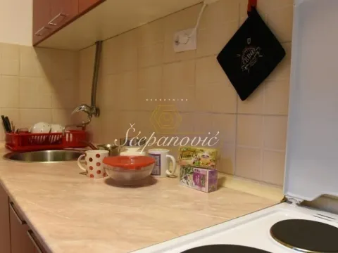 Izdavanje, dvosoban stan, 49m², Betanija, Novi Sad Sve Podlokacije - image 2