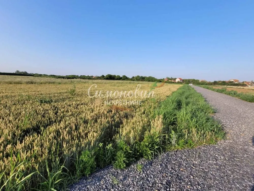 Sale, land lot, 495m², Jakovo, Surčin