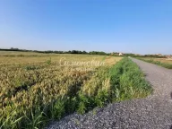 Prodaja, plac, Jakovo, Surčin - image 5