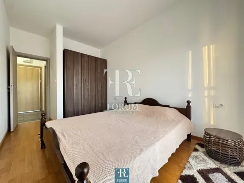 Izdavanje, jednosoban stan, 50m², Stari Aerodrom, Podgorica - image 9