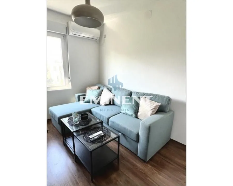 Izdavanje, stan, 35m², Profesorska Kolonija, Palilula Sve Podlokacije