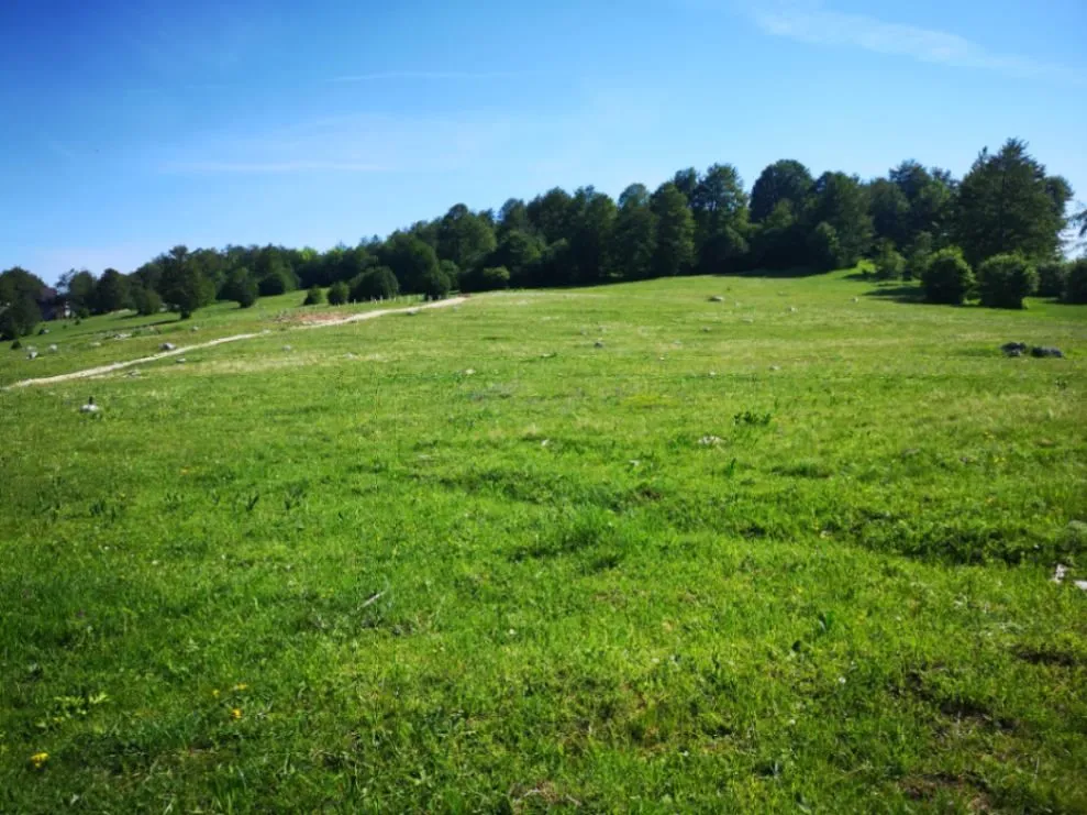 Prodaja, plac, 11500m², Pošćenski Kraj, Žabljak