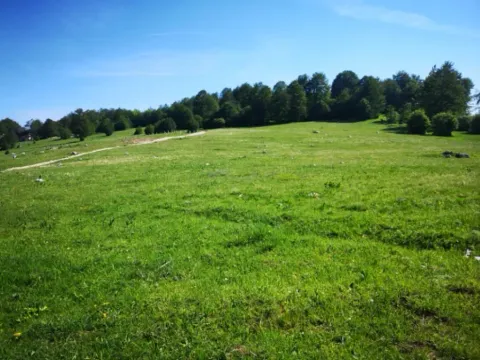 Prodaja, plac, 11500m², Pošćenski Kraj, Žabljak - image 10