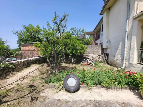 Dvorište kuće sa zelenilom i drvećem. - image 11