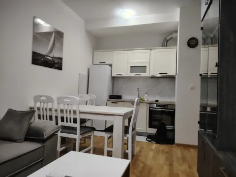Rent, one bedroom apartment, 59m², Central Point, Podgorica - image 1315