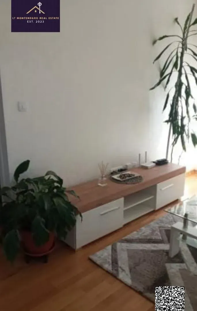 Izdavanje, jednosoban stan, 45m², Zagorič, Podgorica