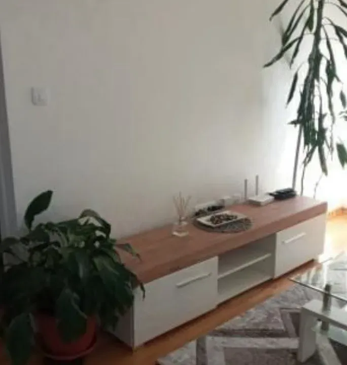 Izdavanje, jednosoban stan, 45m², Zagorič, Podgorica