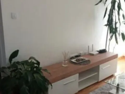 Izdavanje, jednosoban stan, 45m², Zagorič, Podgorica