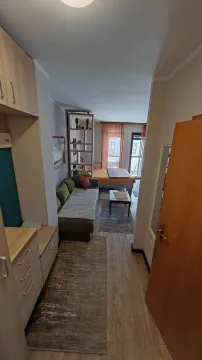 Pregledni deo dnevnog boravka povezanog sa spavaćom sobom. - image 5