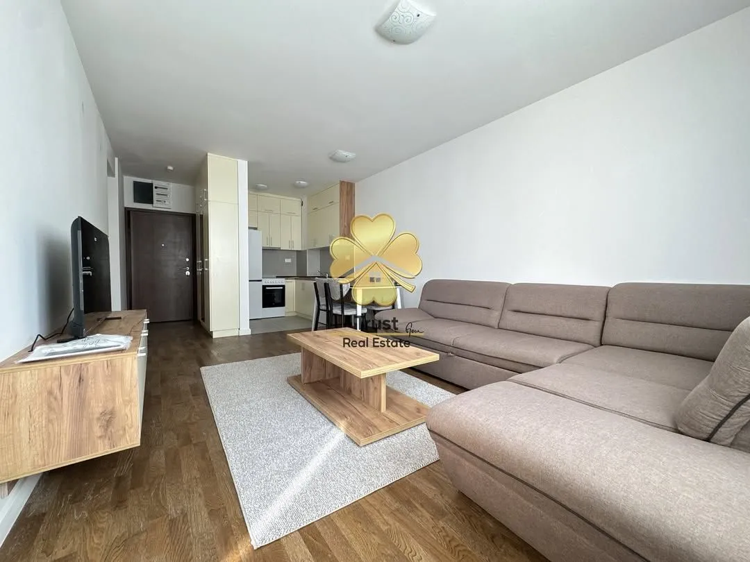Izdavanje, jednosoban stan, 50m², Stari Aerodrom, Podgorica