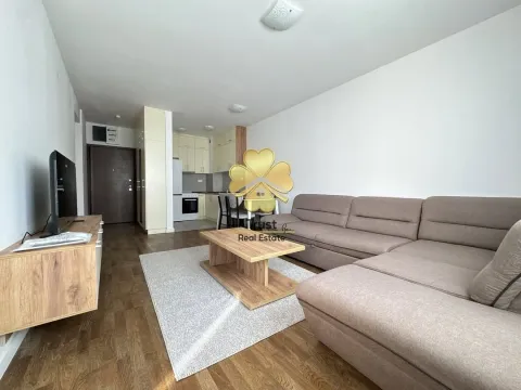 Izdavanje, jednosoban stan, 50m², Stari Aerodrom, Podgorica - image 2