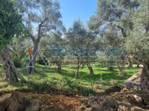 Prodaja, kuća, 174m², Bar, Crna Gora - image 16